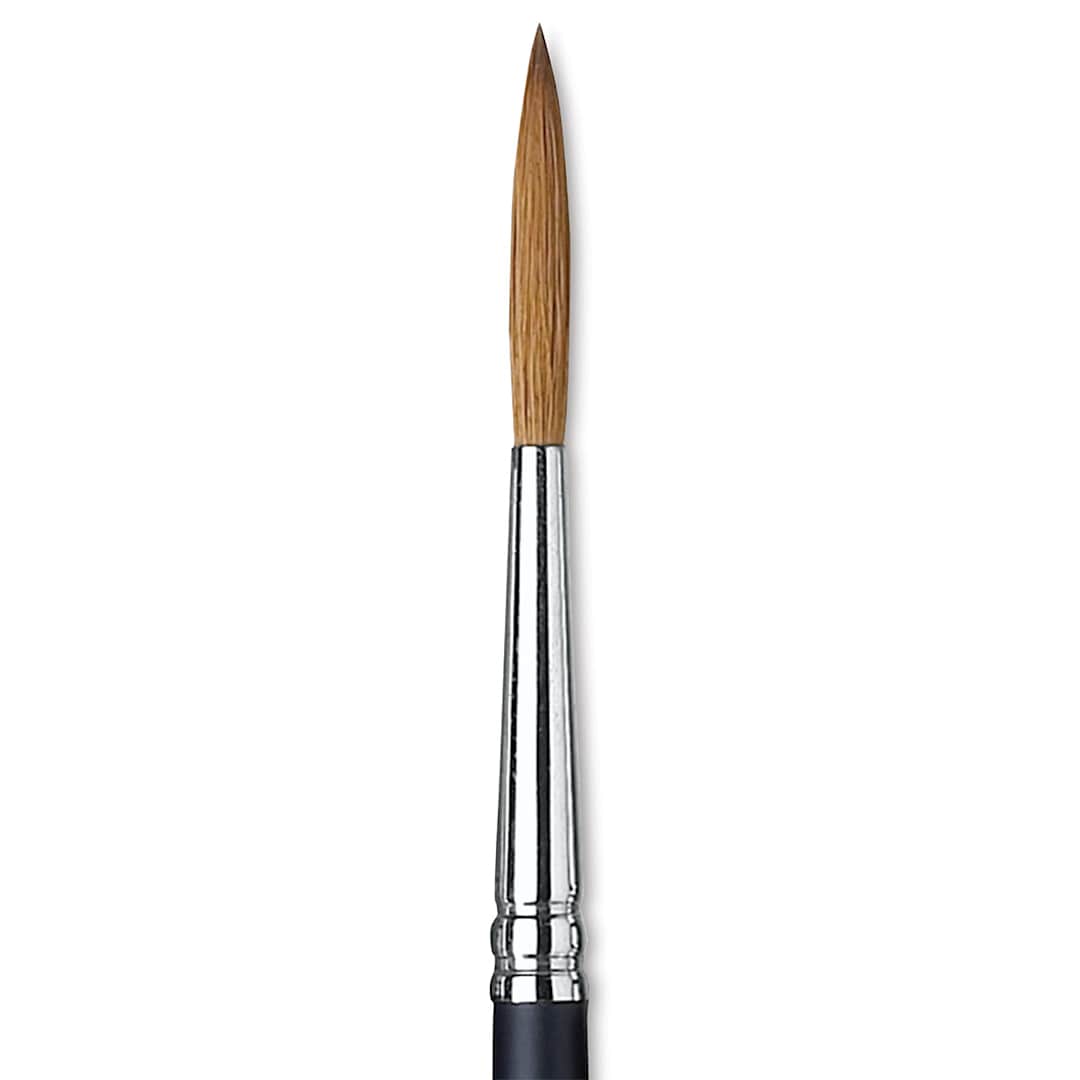 Open in modal - Winsor & Newton Artists' Kolinsky Sable Watercolor Brush - Rigger, Short Handle, Size 5