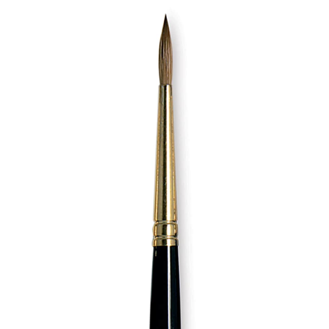 Open in modal - Da Vinci Maestro Kolinsky Brush - Full Belly Round, Short Handle, Size 2 close up