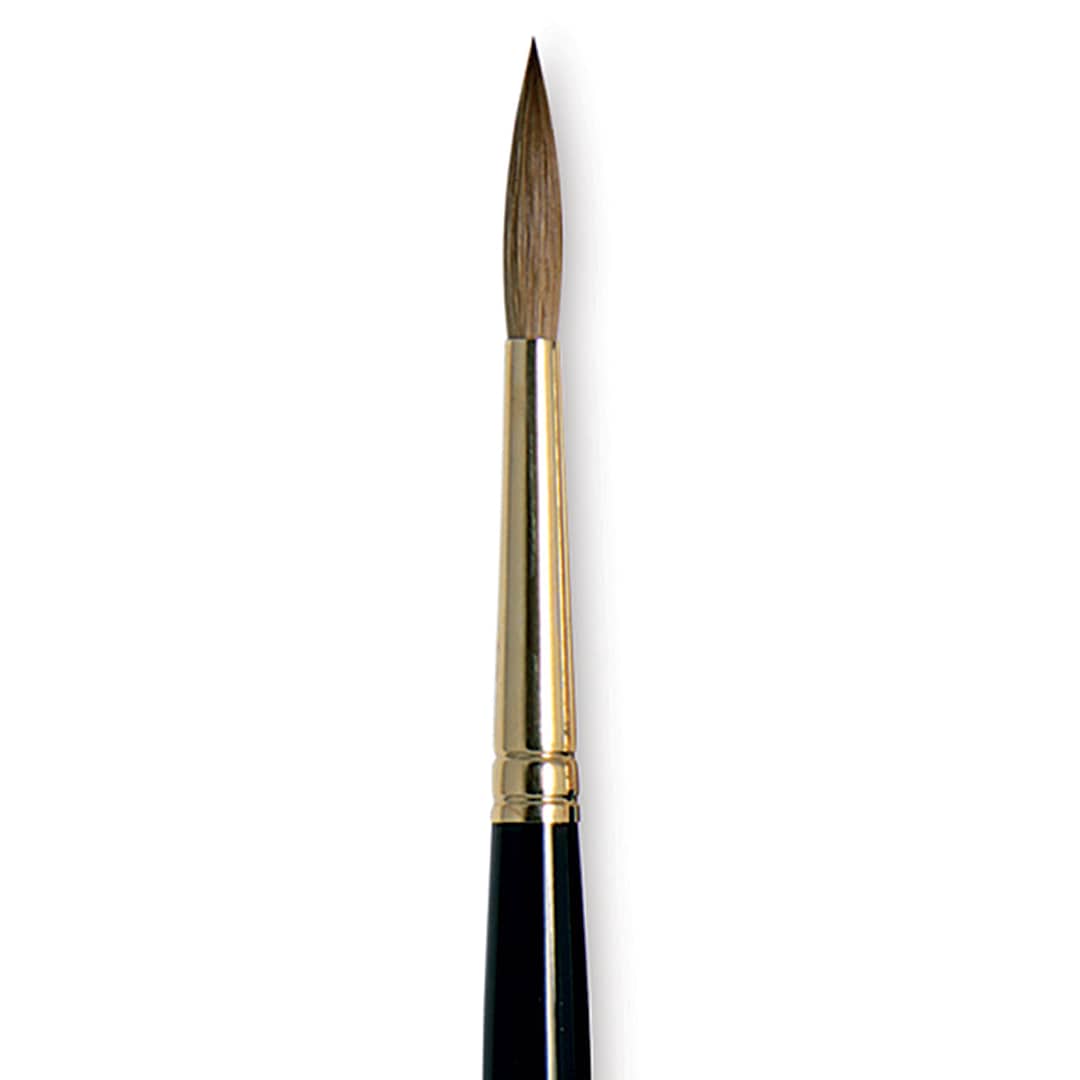 Open in modal - Da Vinci Maestro Kolinsky Brush - Full Belly Round, Short Handle, Size 5 close up