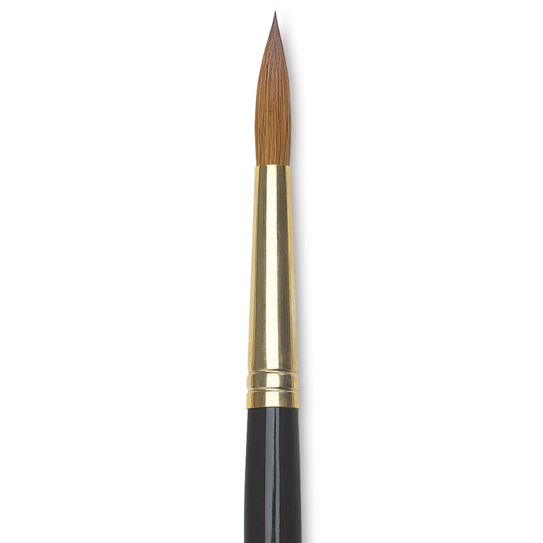 Open in modal - Da Vinci Maestro Kolinsky Brush - Full Belly Round, Short Handle, Size 8 close up