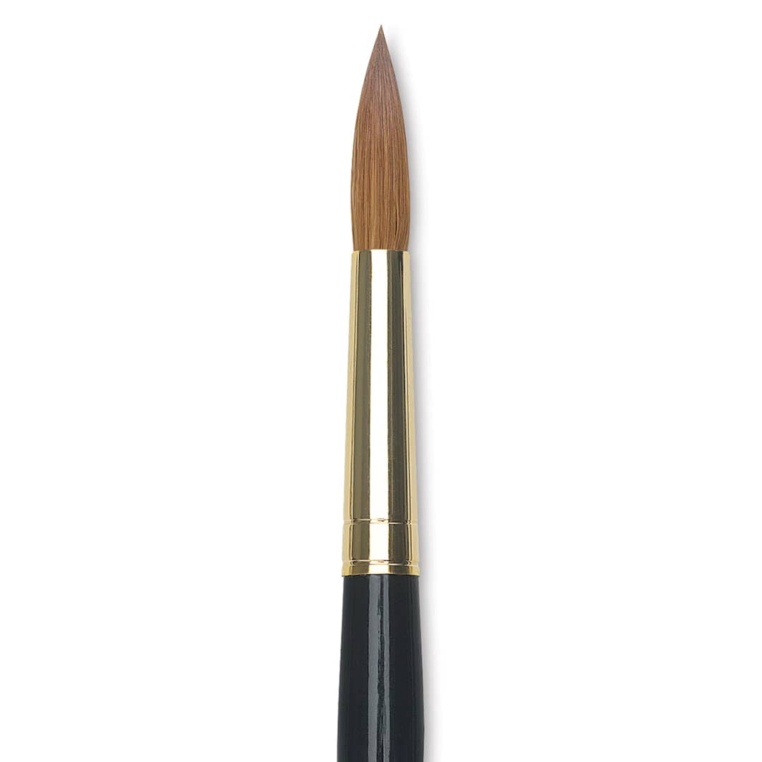 Open in modal - Da Vinci Maestro Kolinsky Brush - Full Belly Round, Short Handle, Size 12 close up