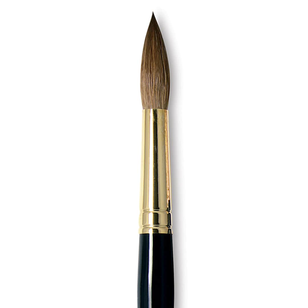 Open in modal - Da Vinci Maestro Kolinsky Brush - Full Belly Round, Short Handle, Size 16 close up