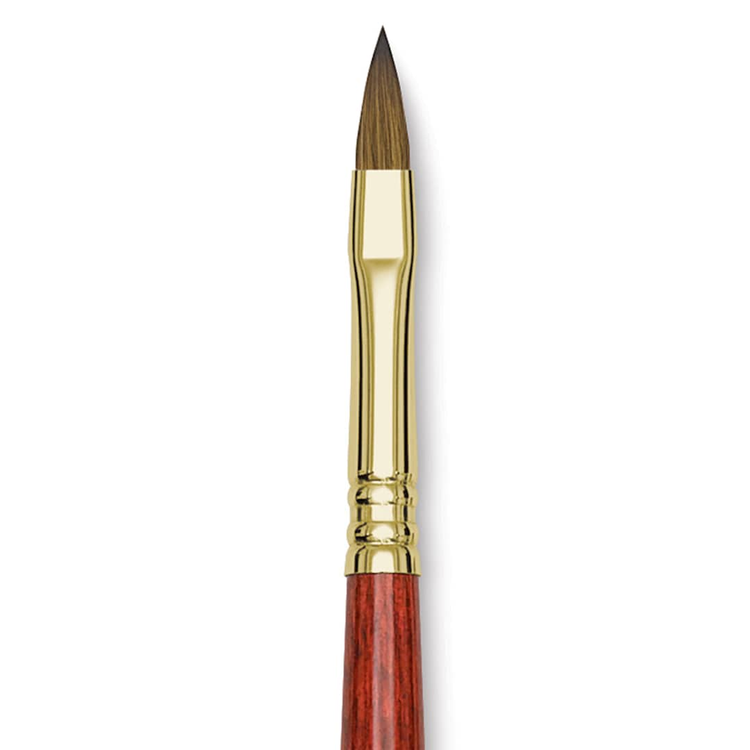 Open in modal - Blick Master Kolinsky Sable Brush - Filbert, Short Handle, Size 6 close up