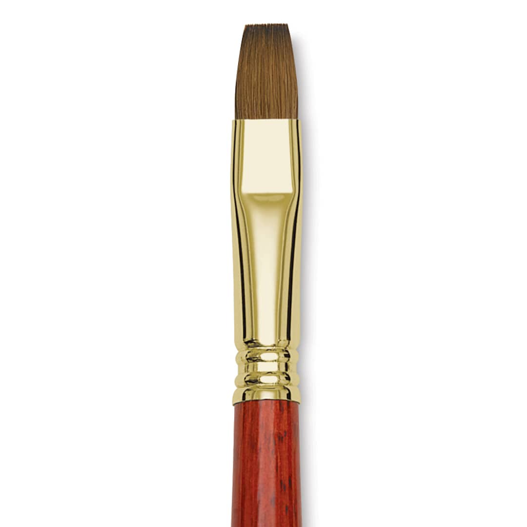Open in modal - Blick Master Kolinsky Sable Brush - Bright, Short Handle, Size 12 close up