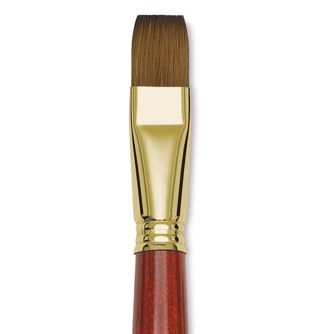 Open in modal - Blick Master Kolinsky Sable Brush - Bright, Short Handle, Size 18 close up