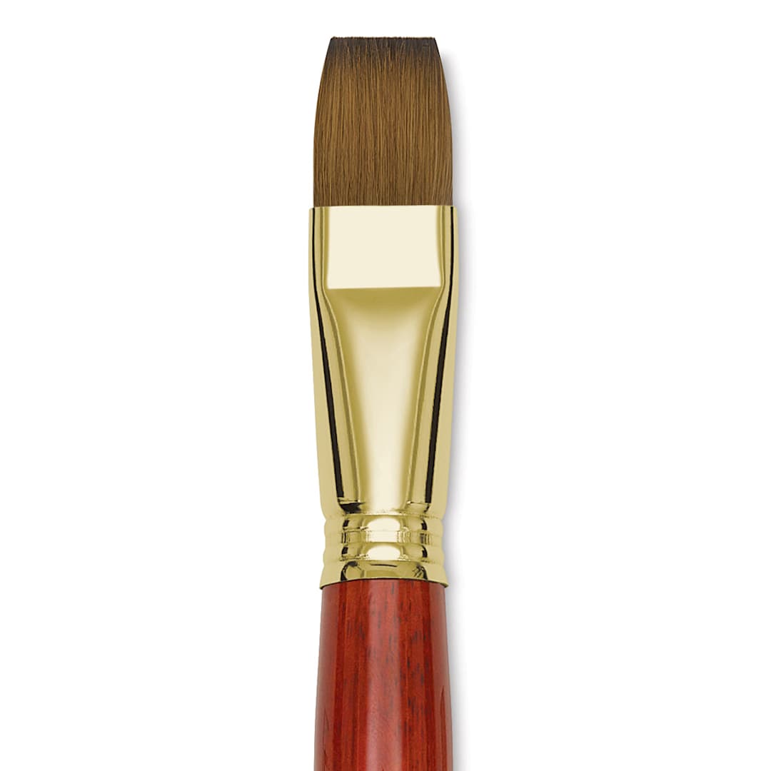 Open in modal - Blick Master Kolinsky Sable Brush - Bright, Short Handle, Size 20 close up
