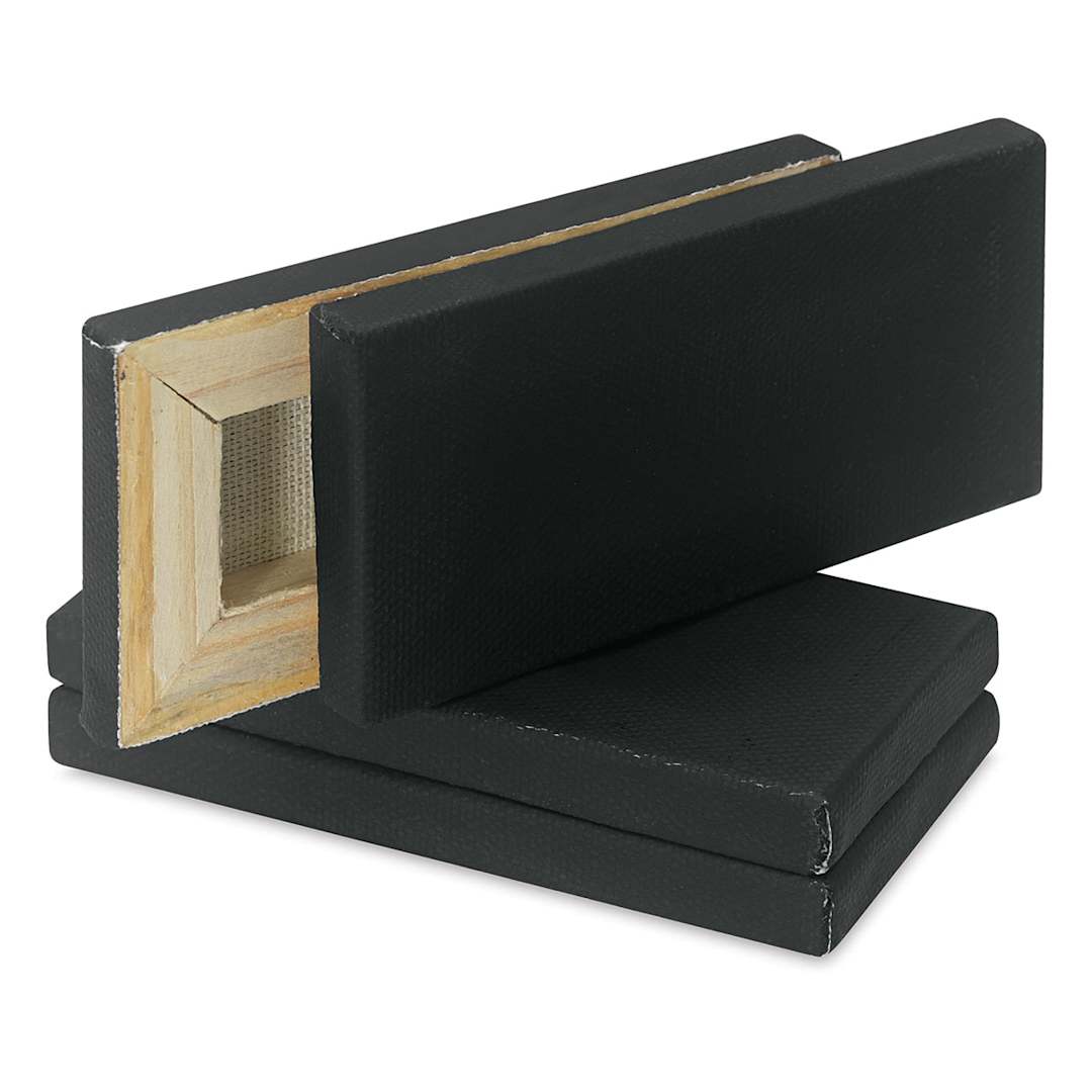 Open in modal - Blick Studio Mini Cotton Canvas - 2" x 4", Black, Pkg of 4