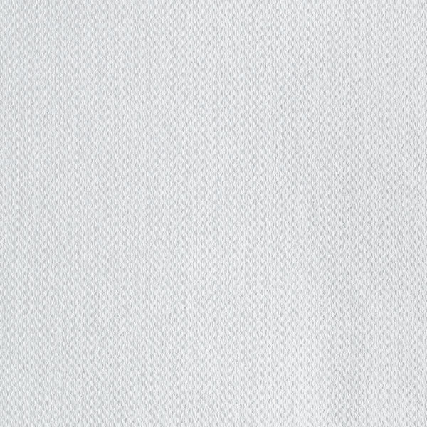 Open in modal - Caravaggio Acrylic-Primed Cotton/Linen Canvas - Closeup of swatch showing color and texture
