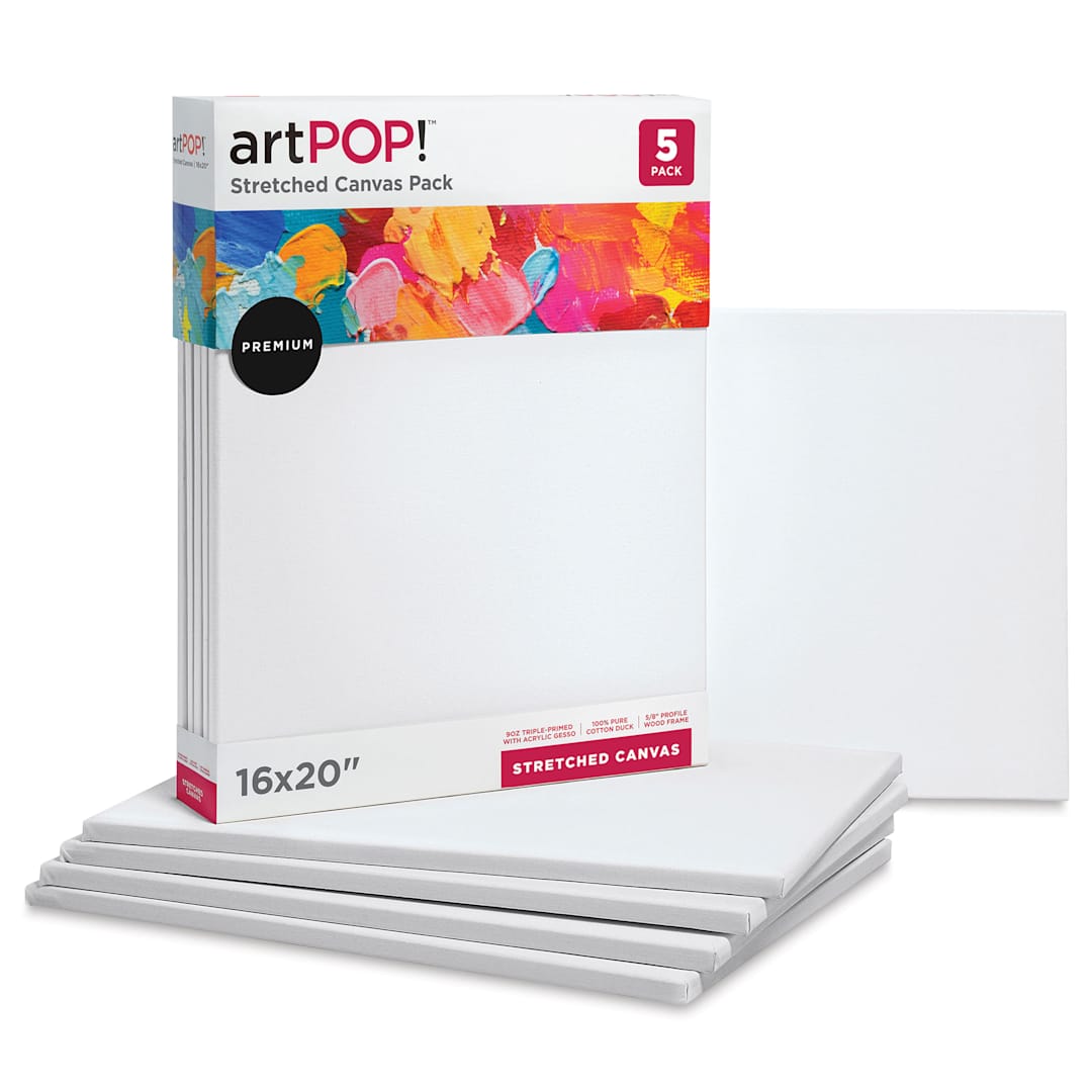Open in modal - artPOP! Stretched Canvas Pack - 16" x 20", Pkg of 5 (In and out of packaging)