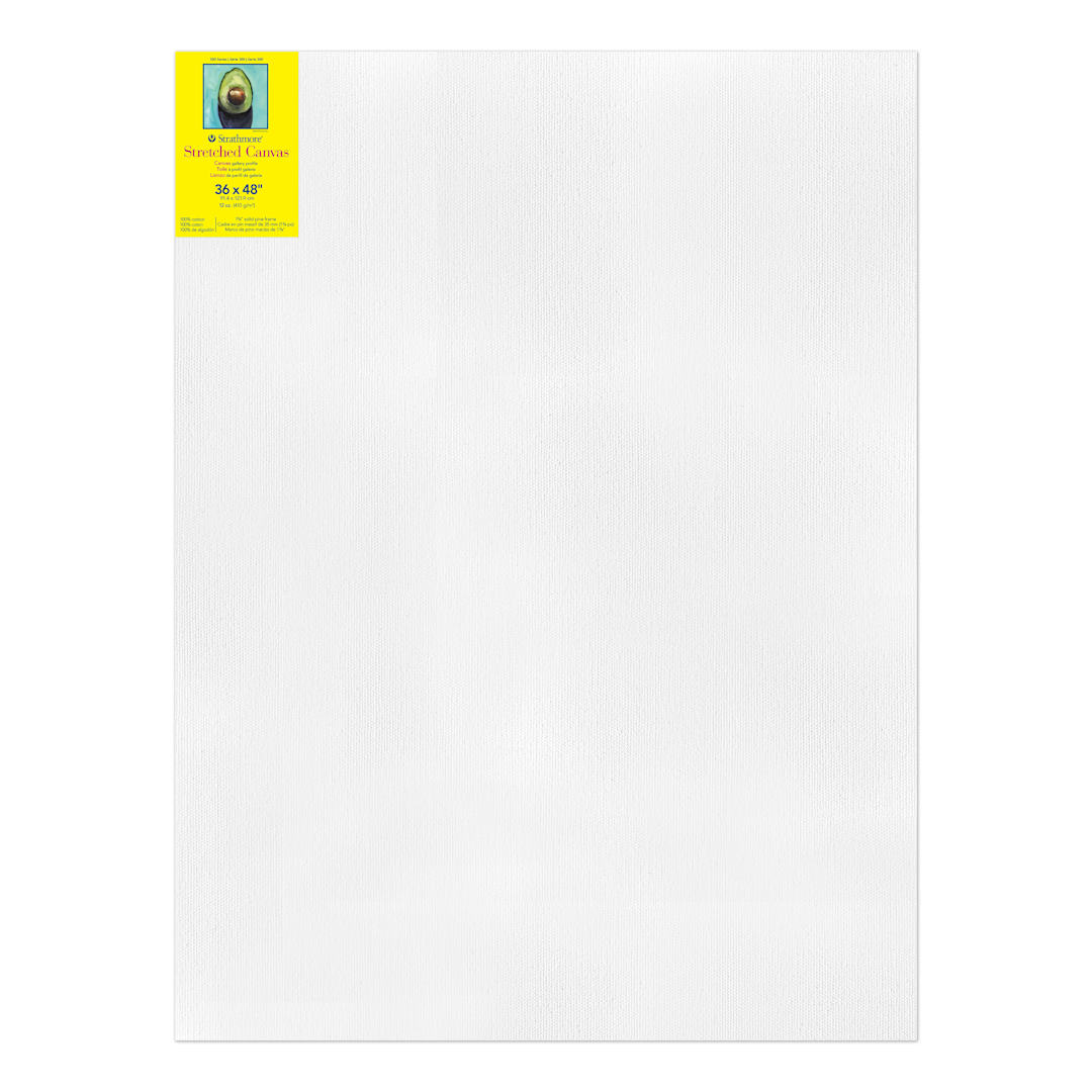 Open in modal - Strathmore 300 Series Canvas, 12 oz, 36" x 48"