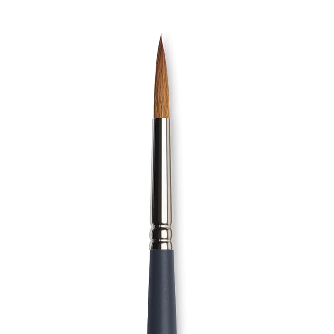 Open in modal - Winsor & Newton Professional Watercolor Synthetic Sable Brush - Round, Size 8, Short Handle (close-up)