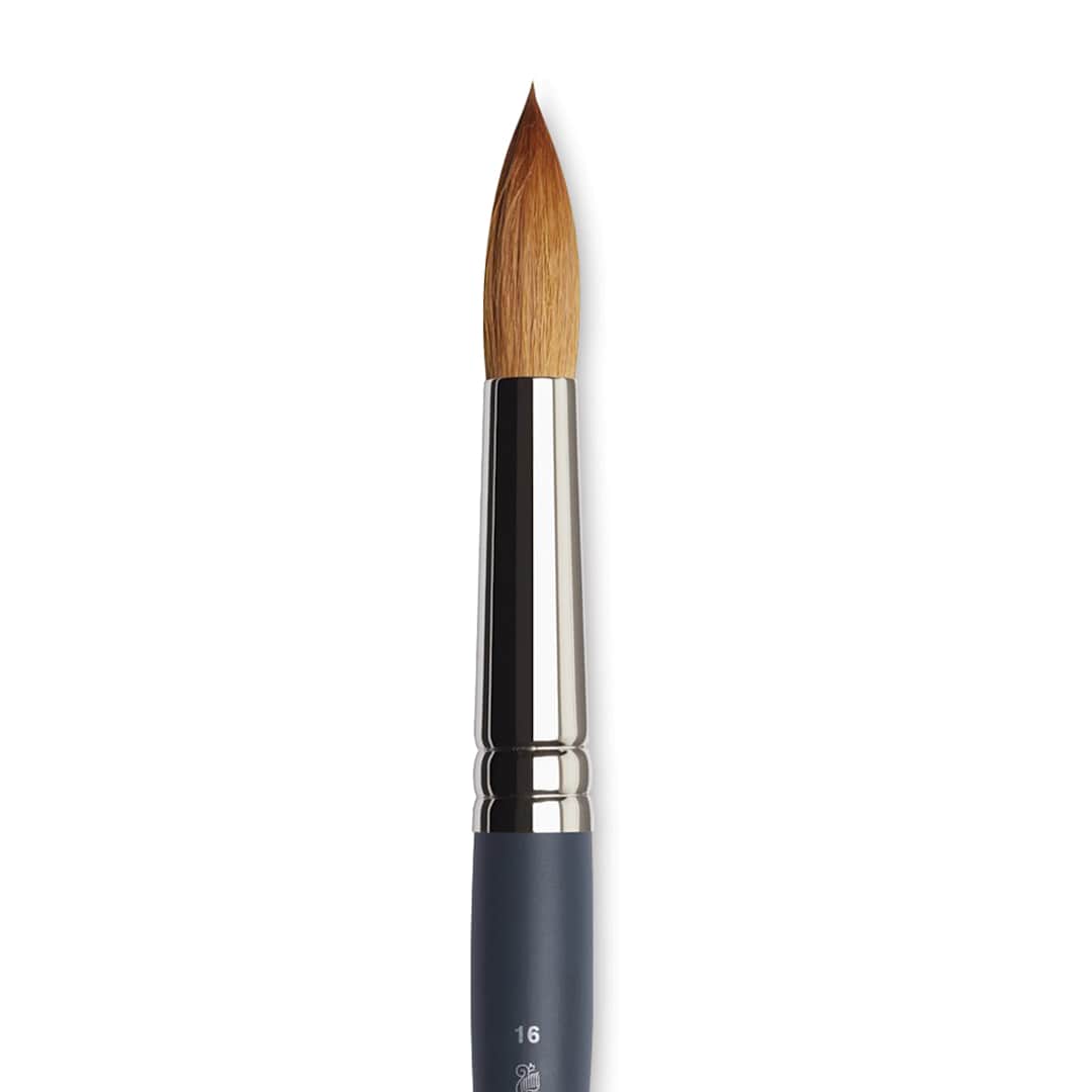 Open in modal - Winsor & Newton Professional Watercolor Synthetic Sable Brush - Round, Size 16, Short Handle (close-up)