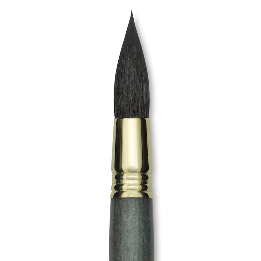 Open in modal - Escoda Aquario Gold Squirrel Mop Brush - Round Mop, Size 16, Short Handle (close-up)