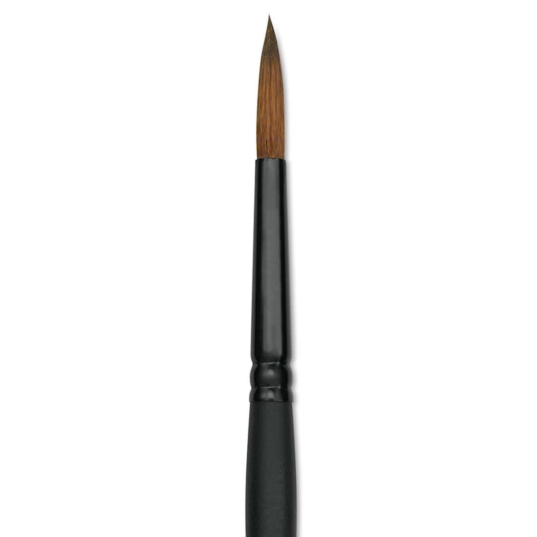Open in modal - Raphaël Stradivarius Synthetic Kolinsky Sable Brush - Round, Size 6, Short Handle (close-up)