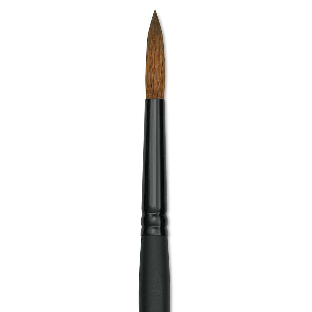 Open in modal - Raphaël Stradivarius Synthetic Kolinsky Sable Brush - Round, Size 8, Short Handle (close-up)