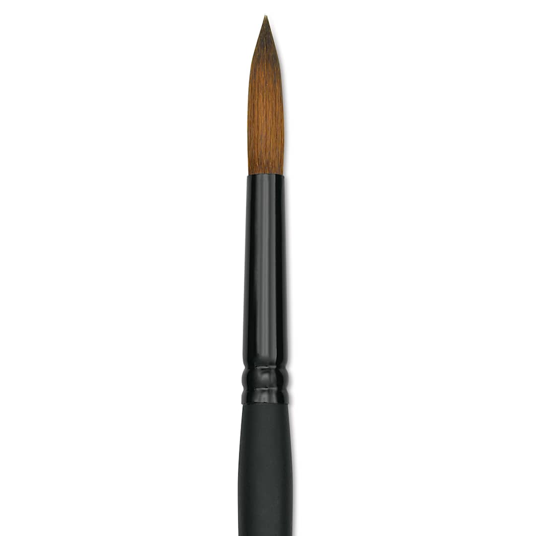 Open in modal - Raphaël Stradivarius Synthetic Kolinsky Sable Brush - Round, Size 10, Short Handle (close-up)