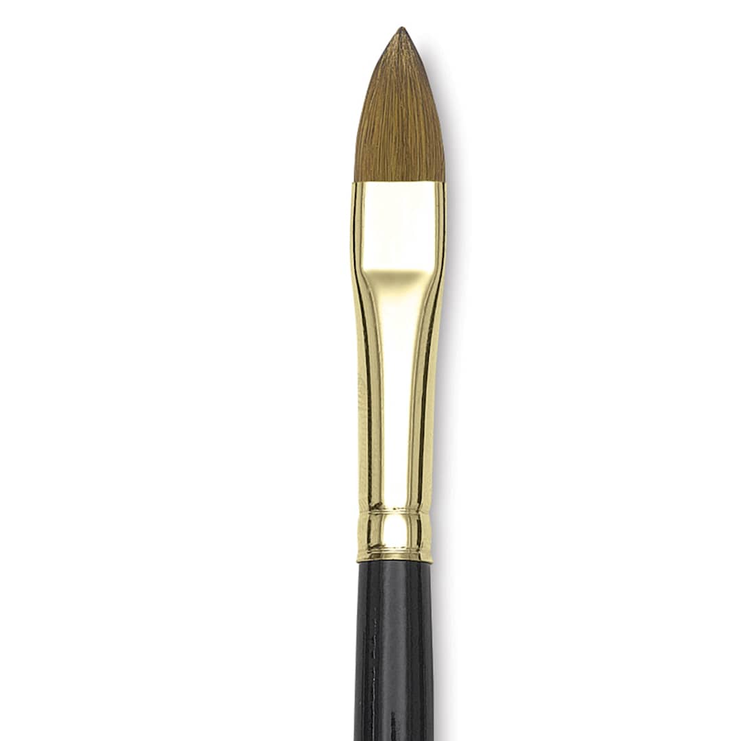Open in modal - Silver Brush Renaissance Red Sable Brush - Cat's Tongue, Short Handle, Size 10 close up