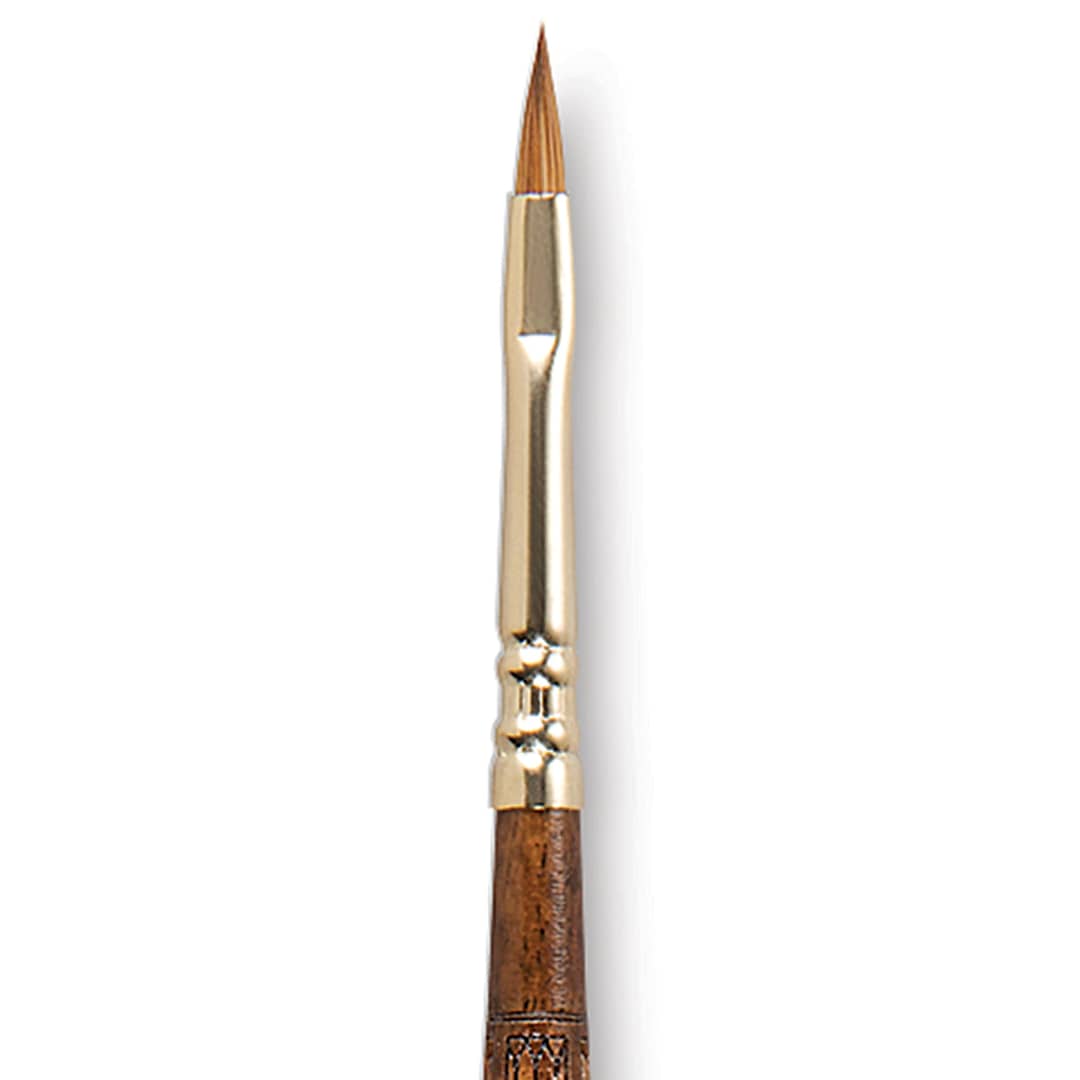 Open in modal - Escoda Reserva Kolinsky-Tajmyr Sable Brush - Filbert, Short Handle, Size 2 (close-up)