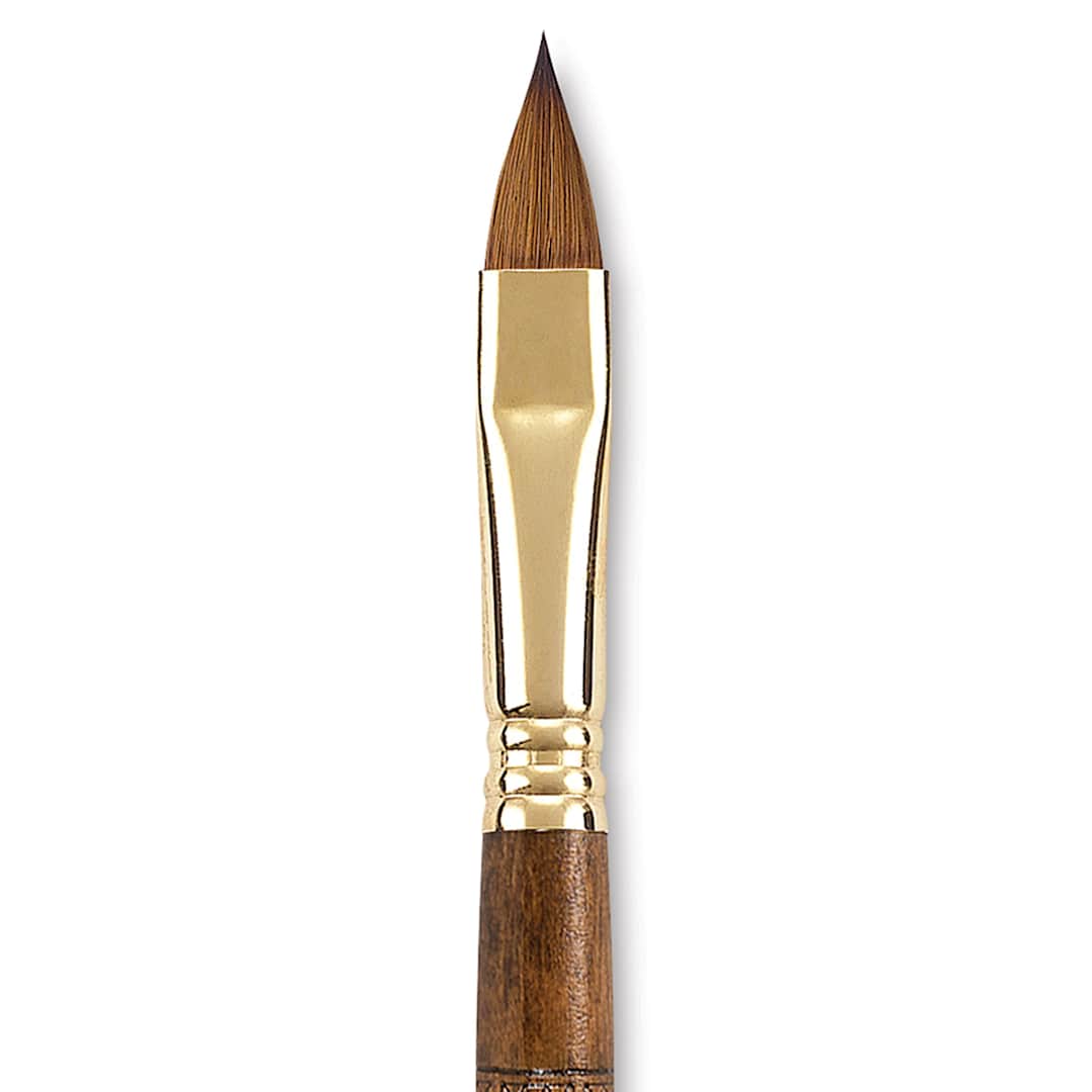 Open in modal - Escoda Reserva Kolinsky-Tajmyr Sable Brush - Filbert, Short Handle, Size 12 (close-up)