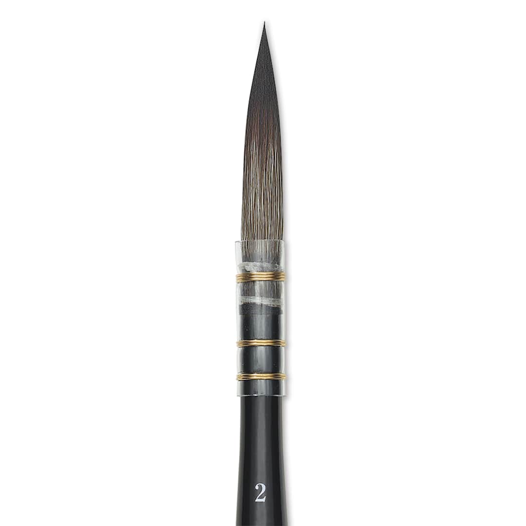 Open in modal - Da Vinci Casaneo Synthetic Squirrel Watercolor Brush - Quill Liner, Size 2, Short Handle, Synthetic, close-up
