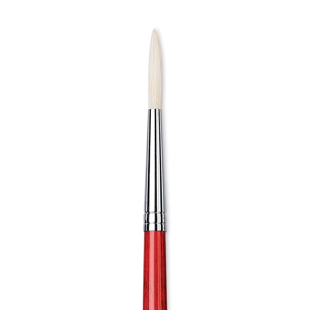 Open in modal - Da Vinci Maestro 2 Hog Bristle Brush - Long Round, Long Handle, Size 6 close up