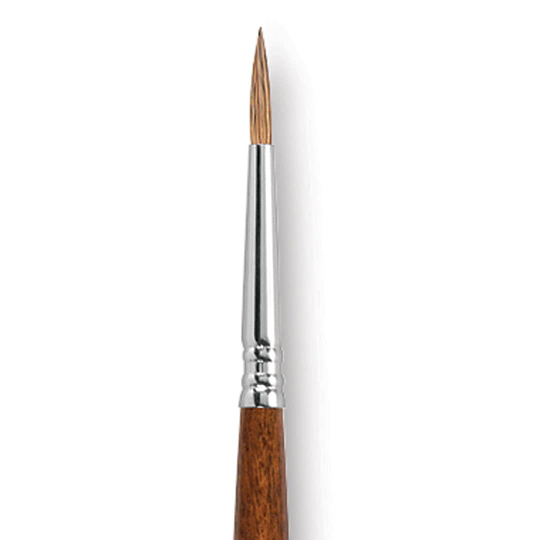 Open in modal - Escoda Versatil Brush - Pointed Round, Size 4, Long Handle close up