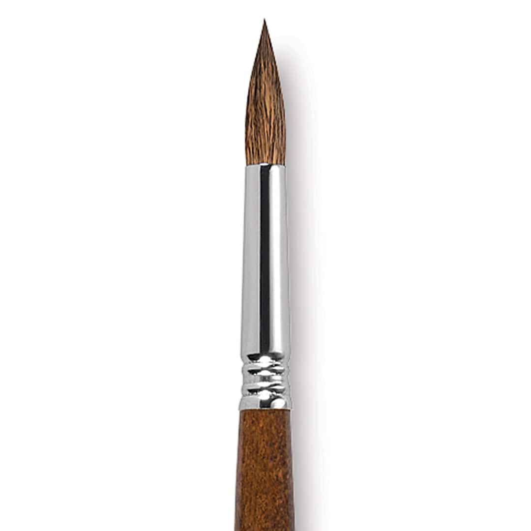 Open in modal - Escoda Versatil Brush - Pointed Round, Size 12, Long Handle close up