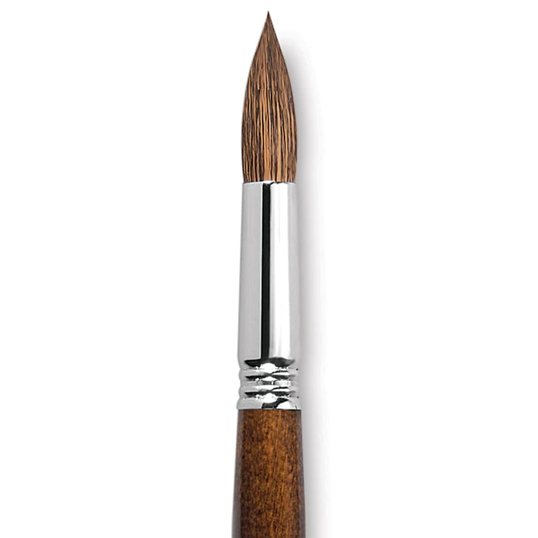 Open in modal - Escoda Versatil Brush - Pointed Round, Size 18, Long Handle close up