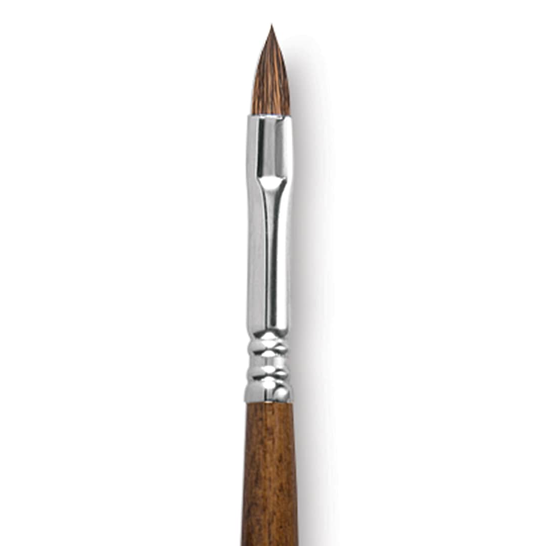 Open in modal - Escoda Versatil Brush - Filbert, Size 8, Long Handle close up