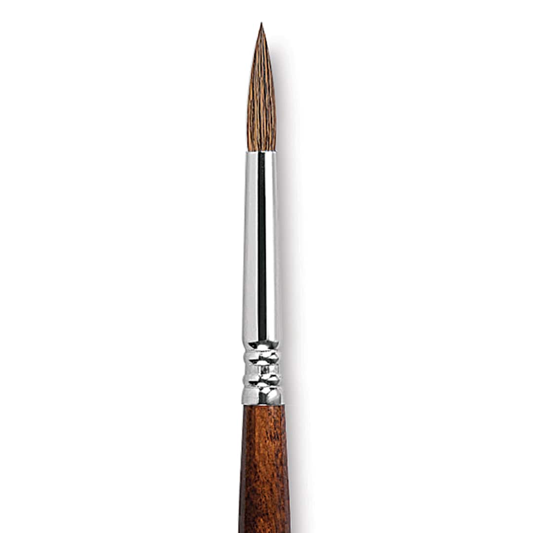 Open in modal - Escoda Versatil Brush - Pointed Round, Size 8, Short Handle close up