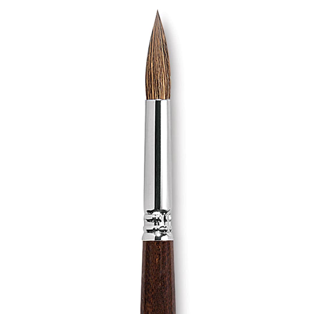 Open in modal - Escoda Versatil Brush - Pointed Round, Size 14, Short Handle close up