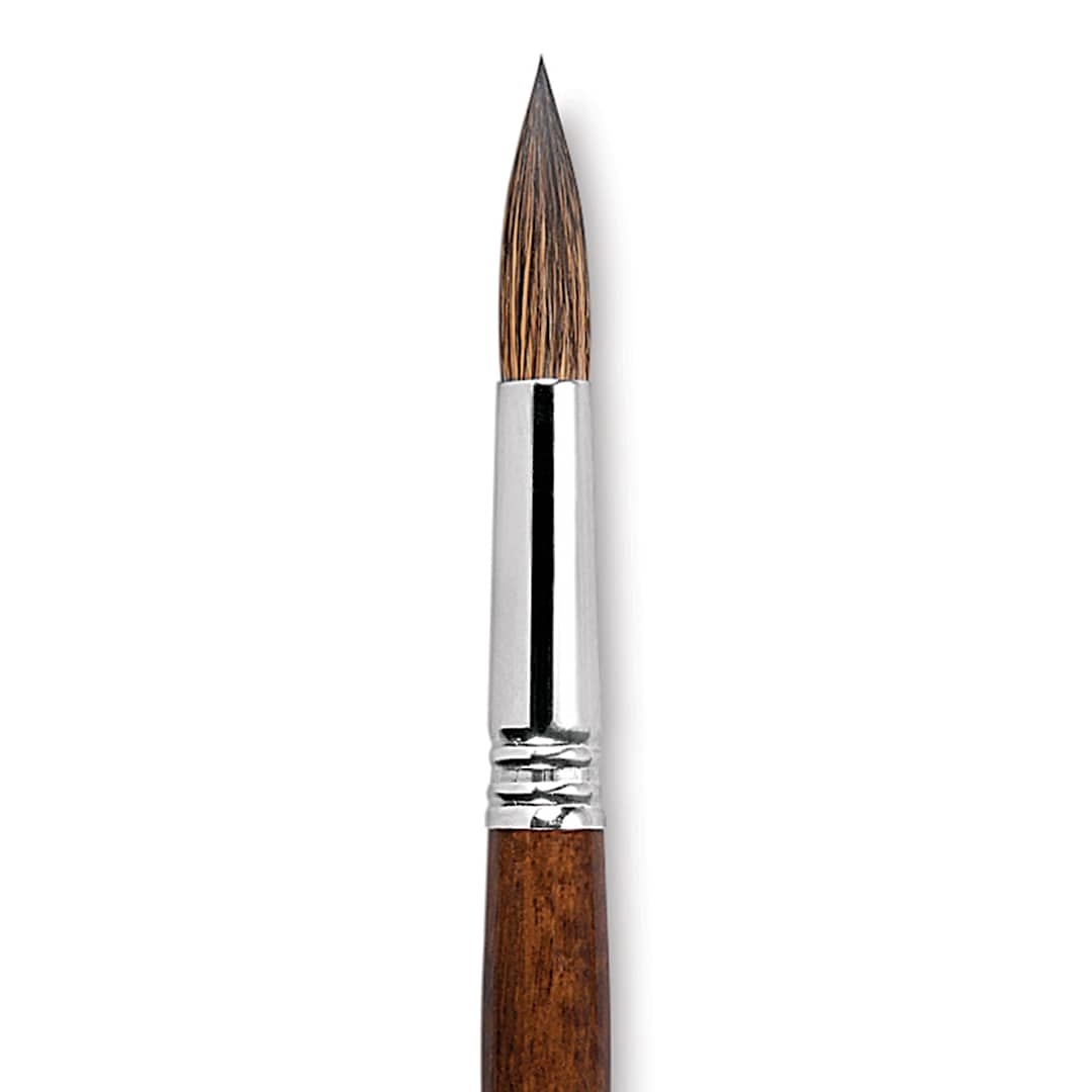 Open in modal - Escoda Versatil Brush - Pointed Round, Size 16, Short Handle close up