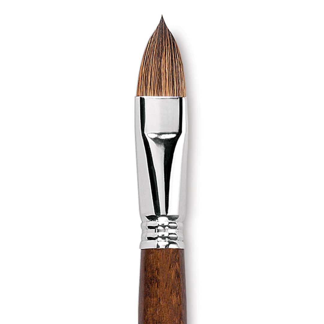 Open in modal - Escoda Versatil Brush - Filbert, Size 18, Short Handle close up