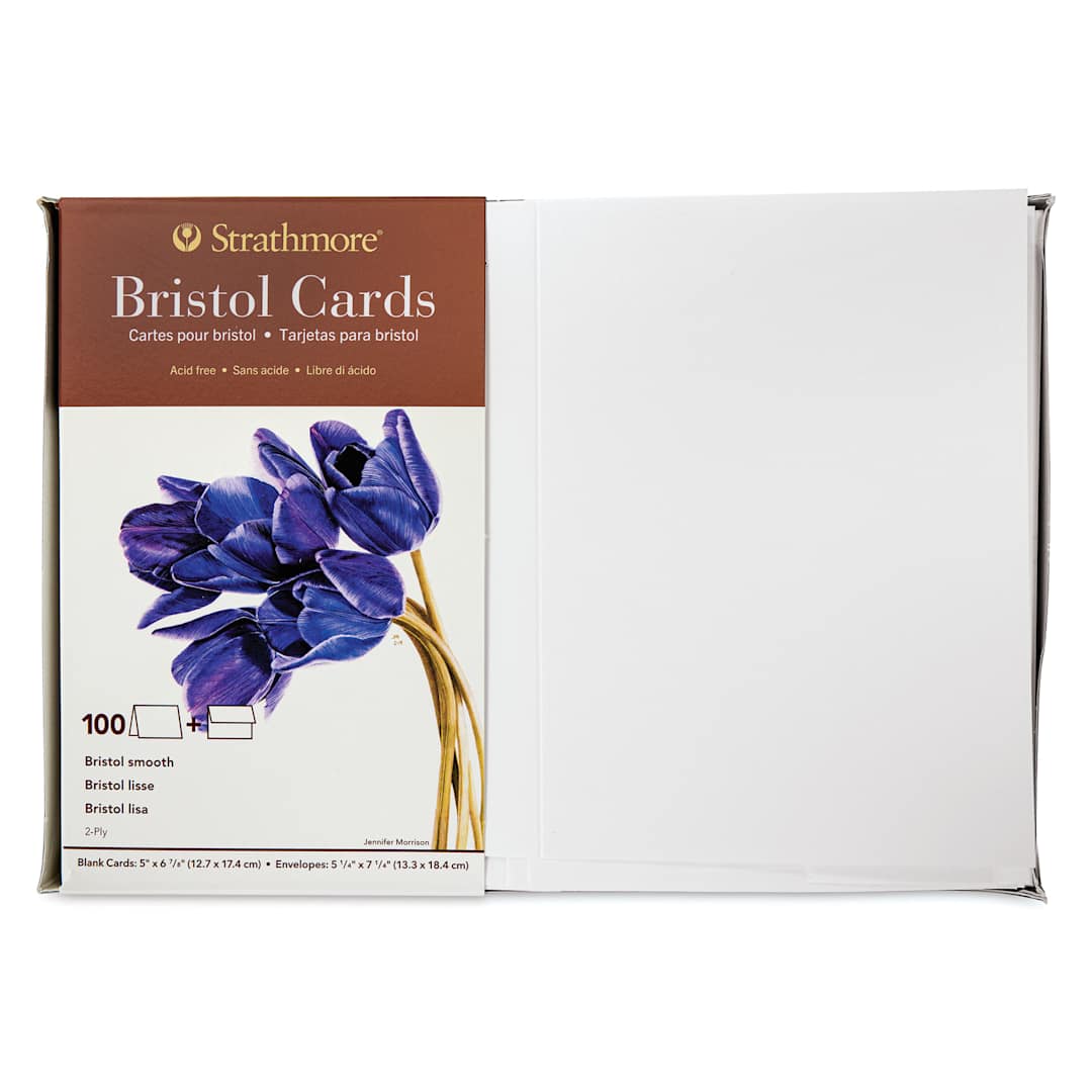 Open in modal - Strathmore 400 Series Bristol Cards and Envelopes - Full Size, Pkg of 100, front of the packaging