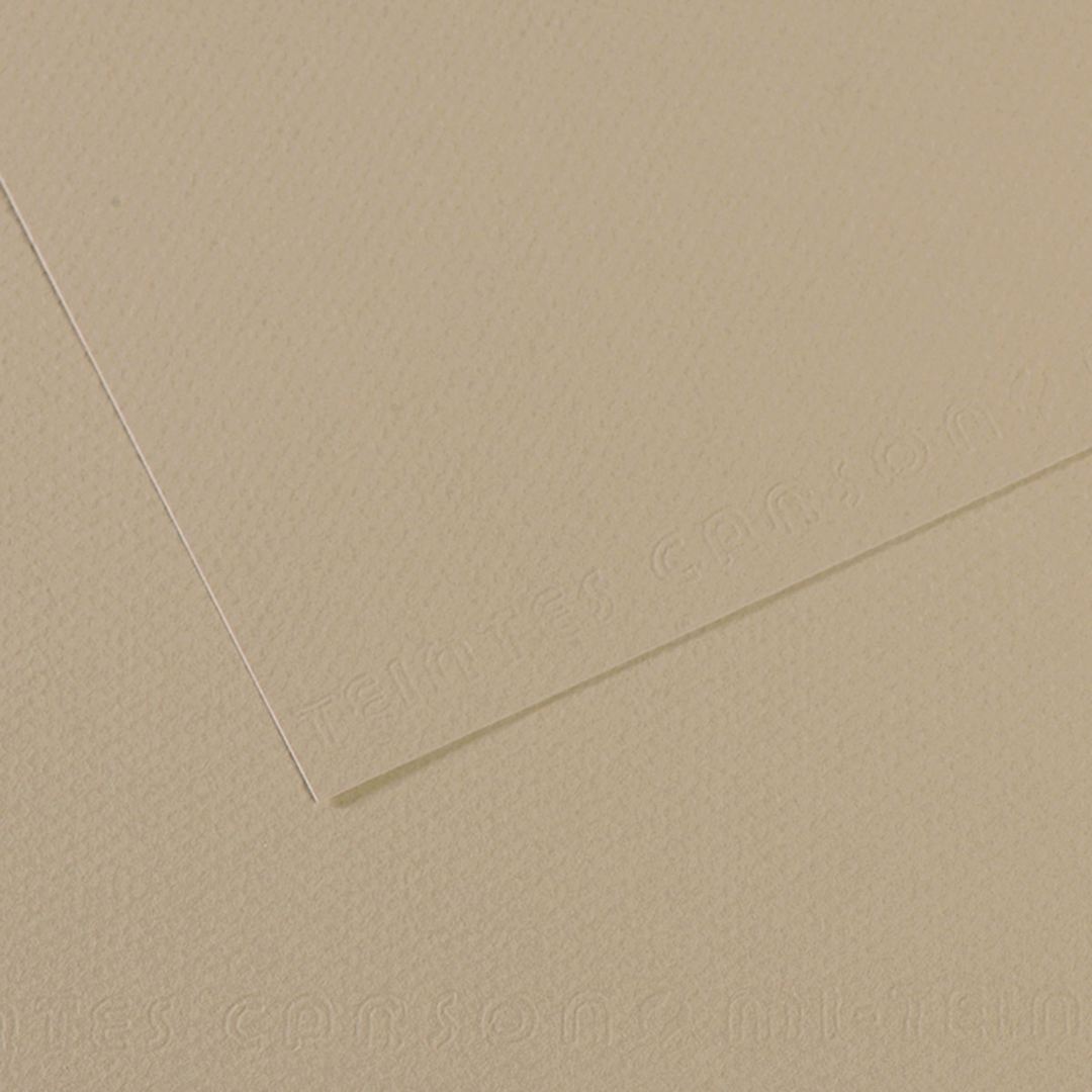 Open in modal - Canson Mi-Teintes Drawing Paper - 19" x 25", Pearl, Single Sheet