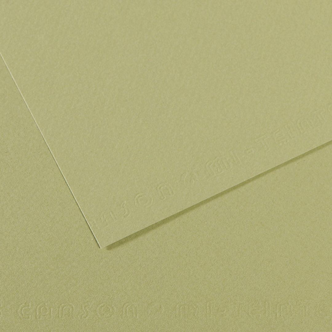 Open in modal - Canson Mi-Teintes Drawing Paper - 19" x 25", Light Green, Single Sheet
