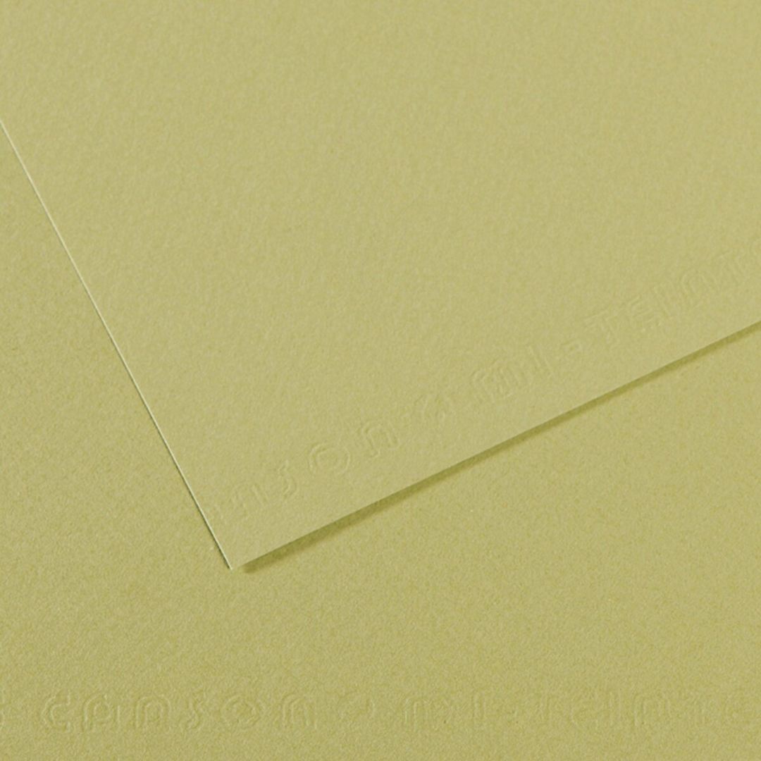 Open in modal - Canson Mi-Teintes Drawing Papers - 8-1/2" x 11", Light Green, 25 Sheets