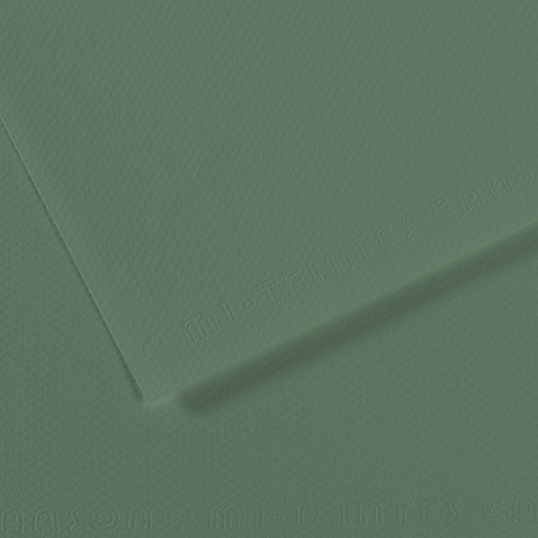 Open in modal - Canson Mi-Teintes Drawing Paper - 19" x 25", Sage Green, Single Sheet