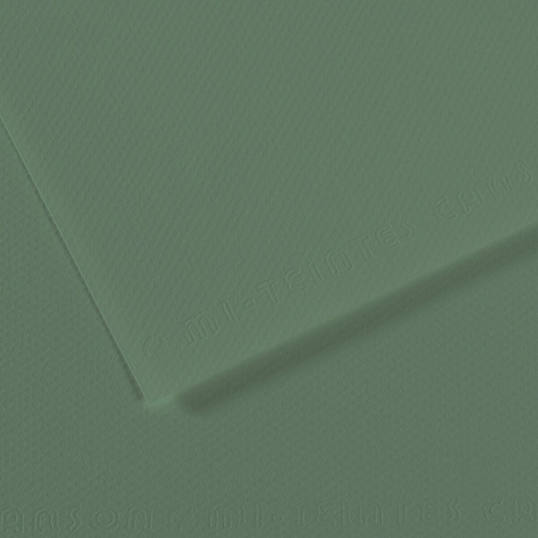 Open in modal - Canson Mi-Teintes Drawing Paper - 8-1/2" x 11", Sage Green, Single Sheet