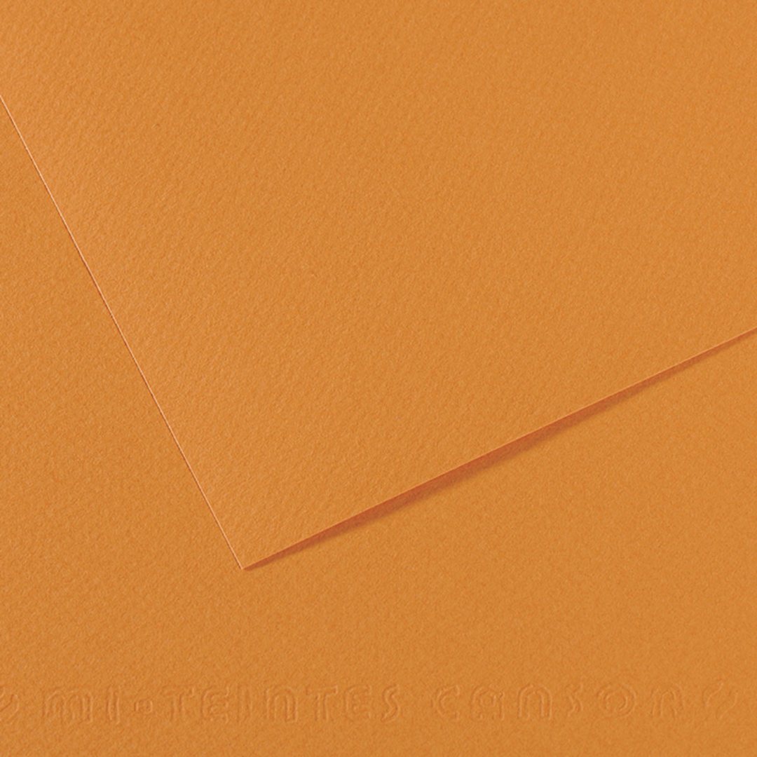 Open in modal - Canson Mi-Teintes Drawing Paper - 19" x 25", Buff, Single Sheet