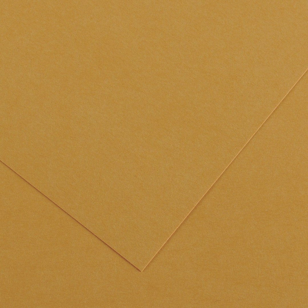 Open in modal - Canson Colorline Art Paper - 19" x 25", 150 gsm, Leather