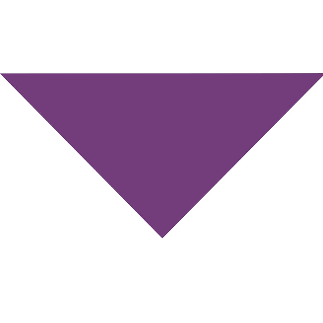 Open in modal - Fabriano Elle Erre Purple 27.5" x 20"