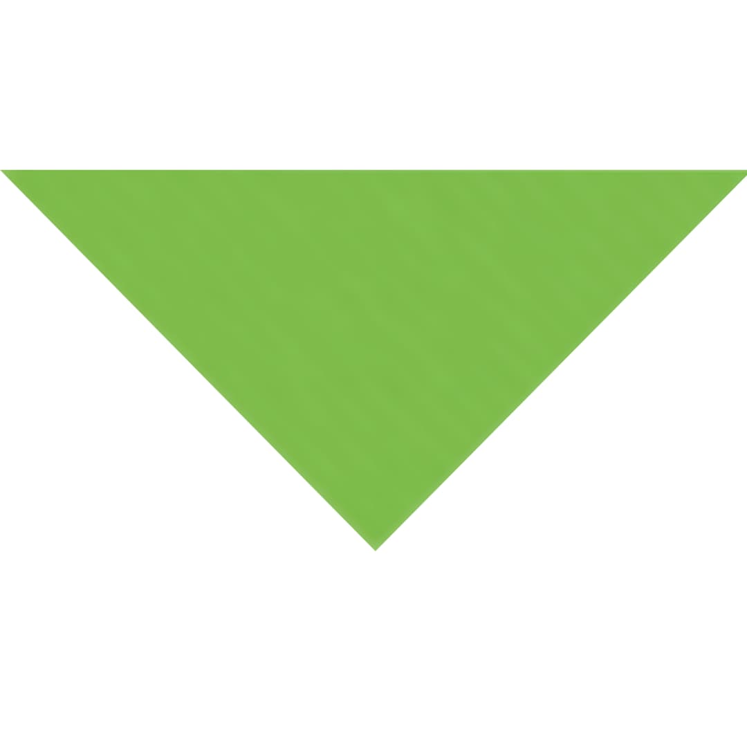 Open in modal - Fabriano Elle Erre Pea Green 27.5" x 20"