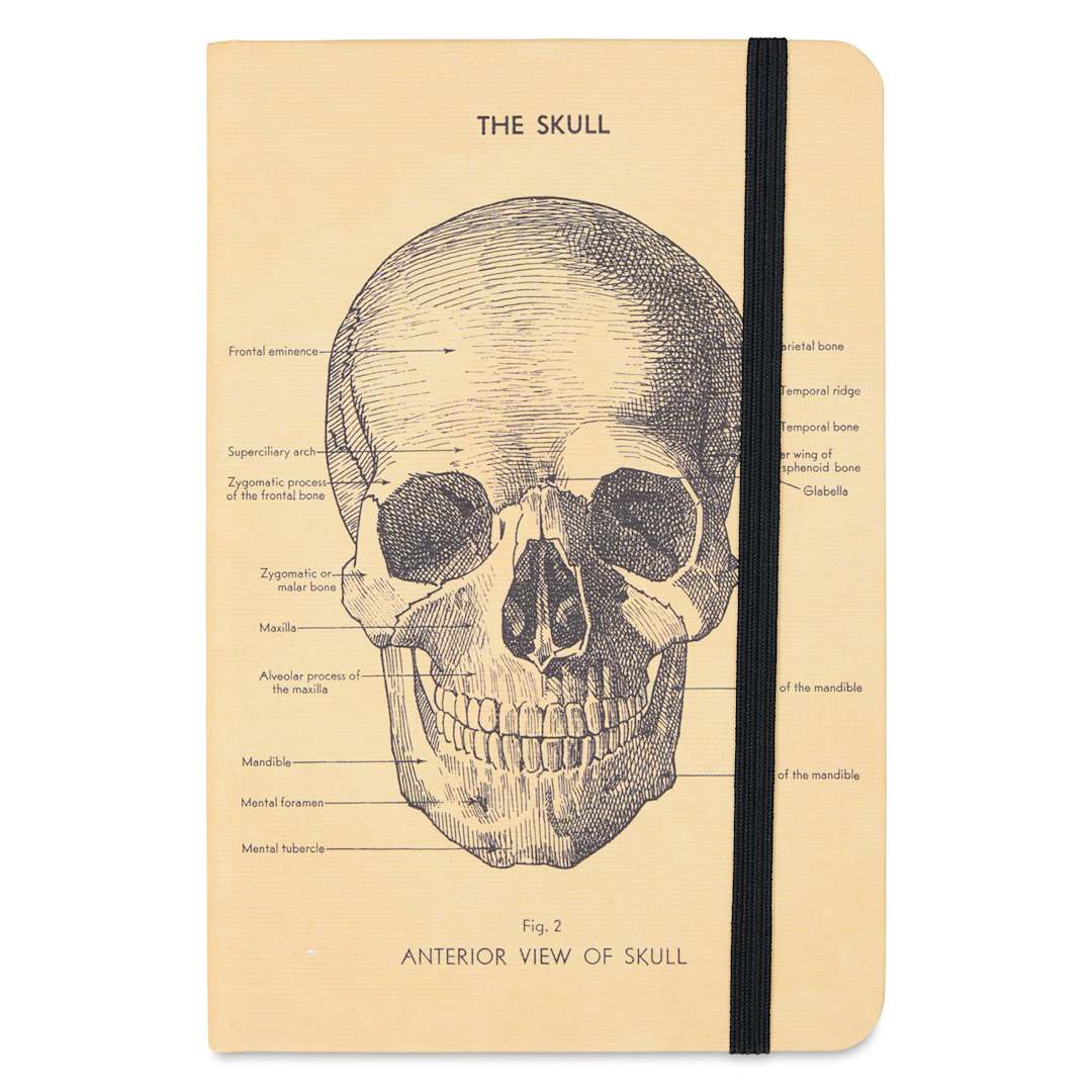 Open in modal - Cavallini Skull Small Notebook, front of notebook