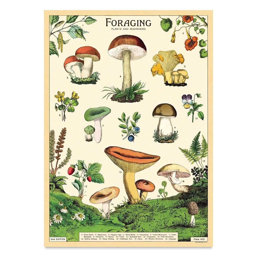 Open in modal - Cavallini Vintage Foraging Printed Paper