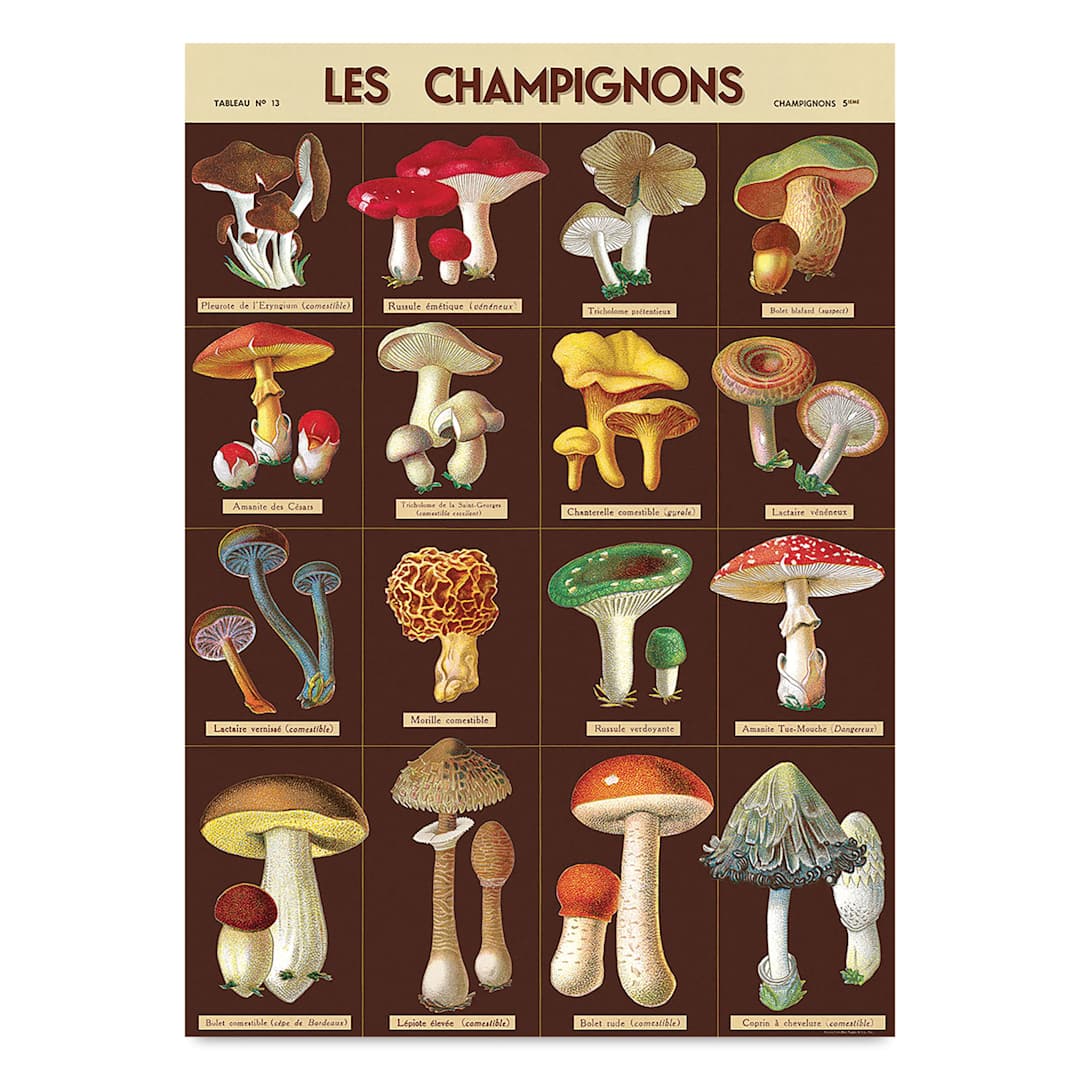 Open in modal - Cavallini Les Champignons Printed Paper