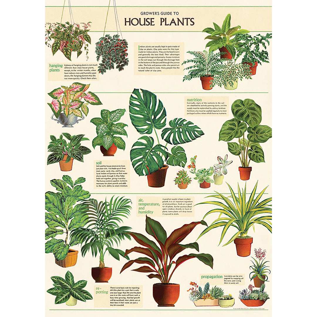 Open in modal - Cavallini Houseplants Gift Wrap