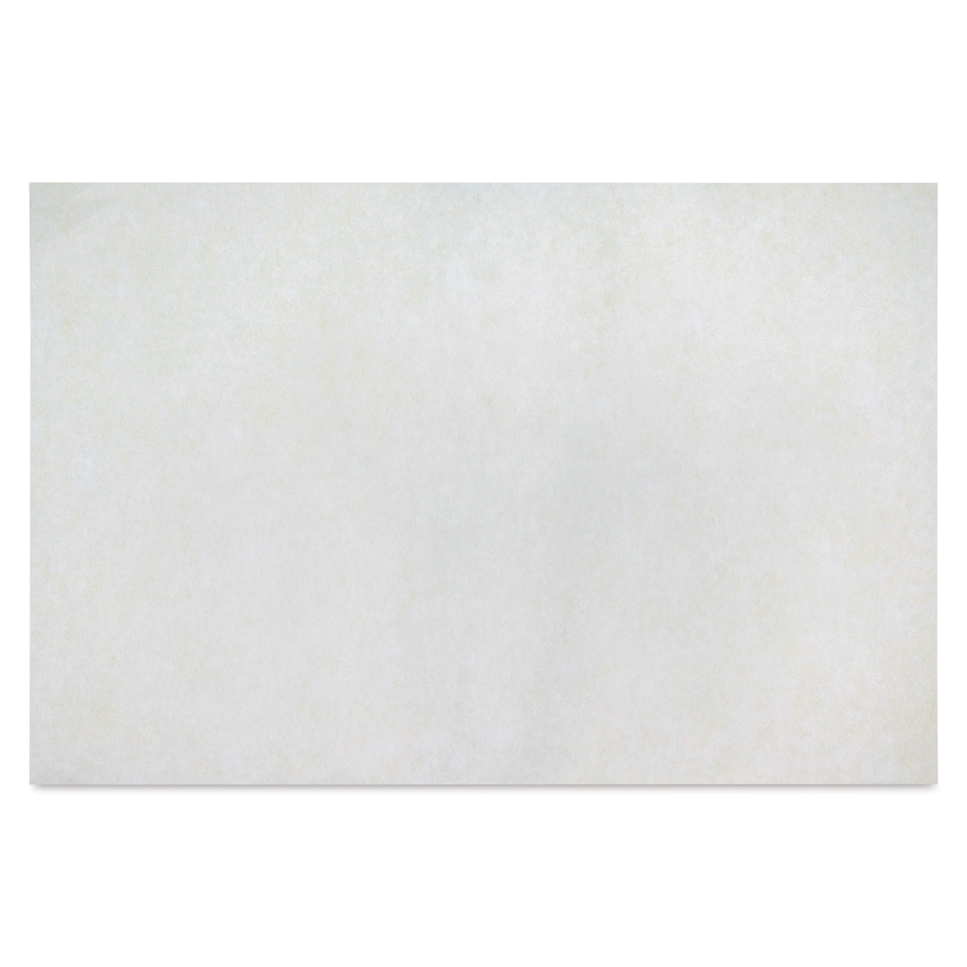Open in modal - Roylco Color Diffusing Paper Pack - 9" x 12" Sheets, Pkg of 50 (blank sheet)