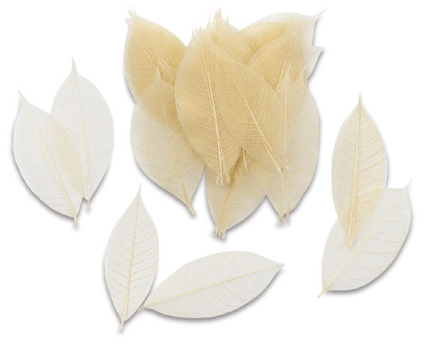 Open in modal - Skeleton Leaves