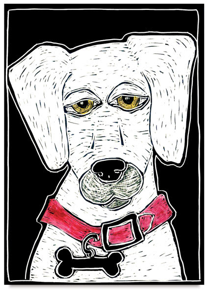 Open in modal - Zoey Dog, Step-by-Step Project Kit